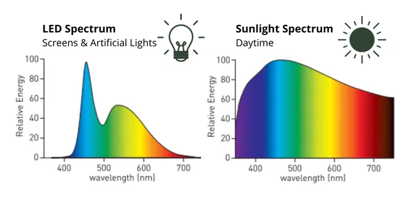 comparatif entre longueur d'onde LED vs Lumière naturelle, lumière du jour